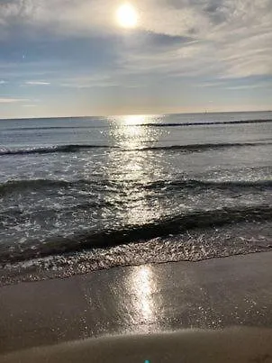Entre El Mar Y La Colina *